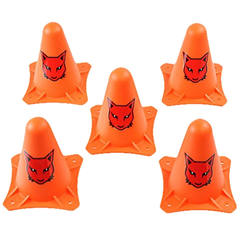 RCR-CONE